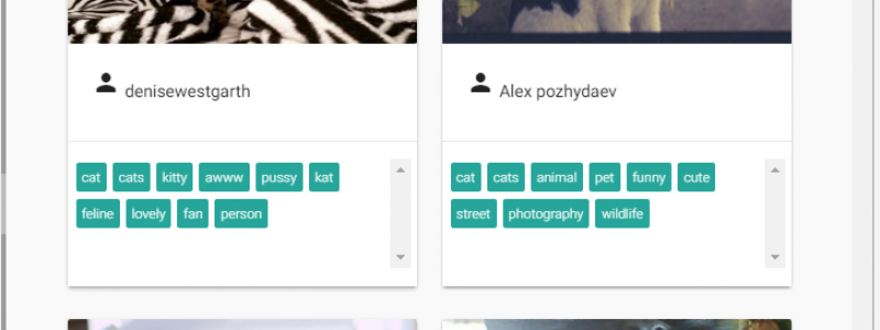 Search-flickr