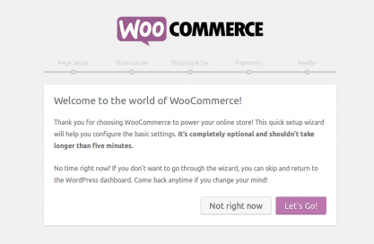 woocommerce2